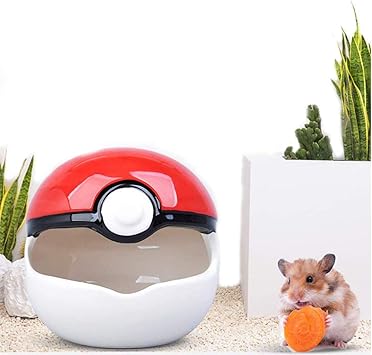 Amazon ハムスター 涼感 ひんやり 小動物の巣 ケージ内装 ハムスターの家 モルモット ハリネズミ リス マウス チンチラ陶磁器の巣 ノーブランド品 飼育ケージ内装 通販 Amazon ハムスター 涼感 ひんやり 小動物の巣 ケージ内装 ハムスターの家 モルモット ハリネズミ リス マウス チンチラ陶磁器の巣 ノーブランド品 飼育ケージ内装 通販
