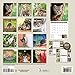 Turner Photo 2017 Curious Kittens Photo Mini Wall Calendar, 7 x 14 inches Opened (17998950004)