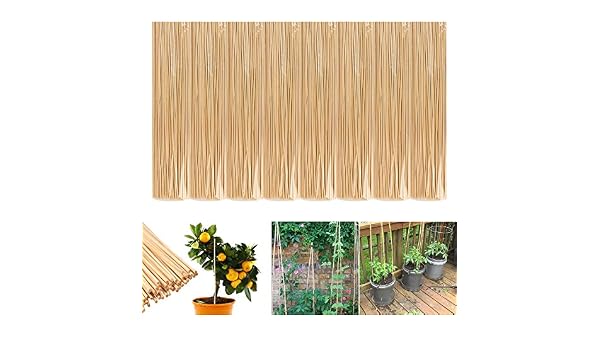 8 unidades 50 palos de bambú - Apoyo nuevas plantas - decorativa ...