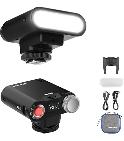 Amazon.com : Nishika 3010 3D Stereo Camera Twin Light Flash : On