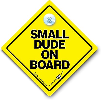 Petite Dude On Board Panneau De Voiture Avec Ventouse Panneau De Voiture Autocollant Baby On Board