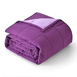 Topblan Weighted Blanket Queen Size 15lbs, Cozy