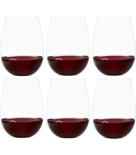 Amazon.com | Celebrate It 12oz. Clear Plastic Stemless Wine Glasses, 20ct.: Wine  Glasses