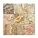 Scabos Travertine 4 X 4 Tile, Tumbled - 4 pcs. Sample Set