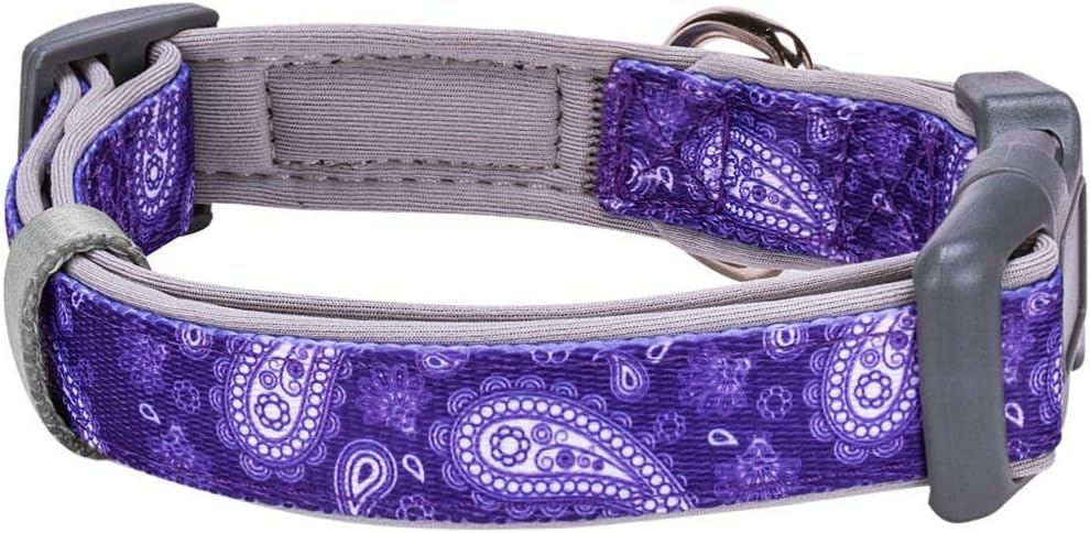 Blueberry Pet 5 Patterns Soft & Comfy Paisley Flower Print Neoprene Padded Adjustable Dog Collar, Violet, Large, Neck 18"-26" : Pet Supplies