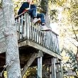Token - Treehouse