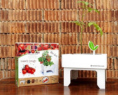 SeedBox SBCUTC - Huerto Urbano de Tomates Cherry: Amazon.es: Jardín