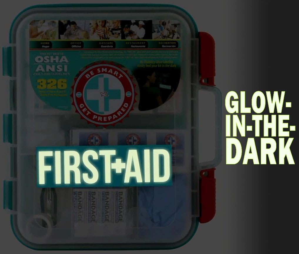 First Aid Kit Hard Teal Case 326Piece Exceeds OSHA & Ansi Guidelines: Health & Personal Care