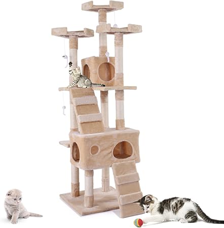 kitty condo amazon