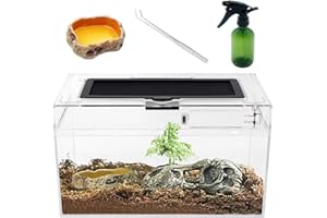 REPTILE GROWTH Mini Reptile Terrarium Set,12" x 7"x 6" Low Reptile Tank with Full View Visually Appealing，for Insect，Fish，Tarantula，Hermit Crab，Jumping Spider，Iguana，Tortoise，Leopard Gecko，Frog，Bearded Dragon