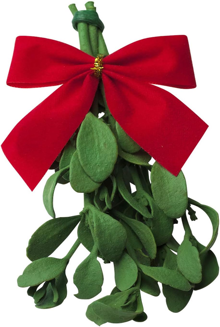 Real Mistletoe Preserved