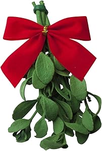 Real Mistletoe Preserved