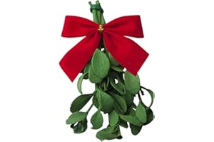 ENROOT Real Mistletoe Preserved