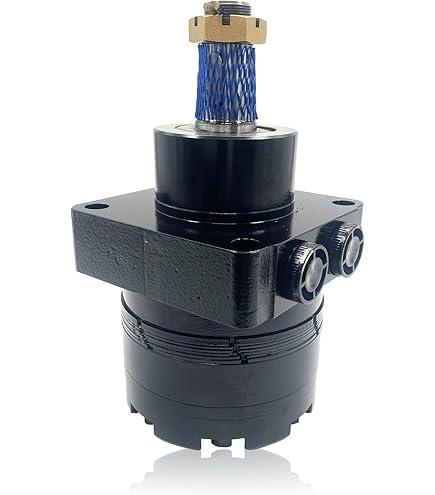 locomeg♡ Amazon.com: Hydraulic Drive Motor 194615 103129 for Skyjack