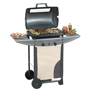 Barbecue à gaz Campingaz Expert Plus 2 brûleurs — Boutique ... 
