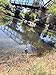 K&M Specialty Outdoor Products AMAZONS'S Best Fishing Rod Holder for Backpackers Campers and Fisherman