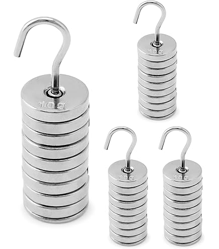 Eisco Labs Double Hooked Weight Stainless Steel 100 Grams (0.22 Lbs):  Amazon.com: Industrial & Scientific
