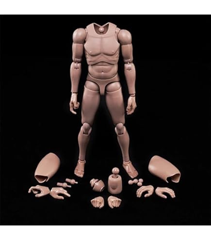 Amazon.com: Enterbay - Original Action Body Figure Body Action