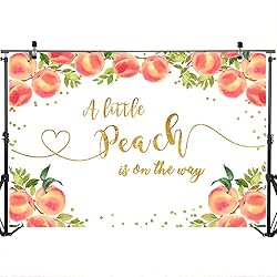 Mocsicka Sweet Peach Backdrop for Girl Baby Shower