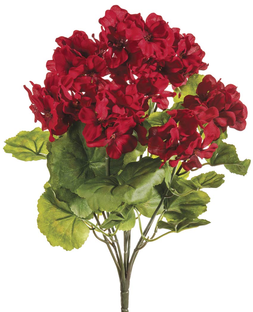 Купить Цветы Герани В Армавире