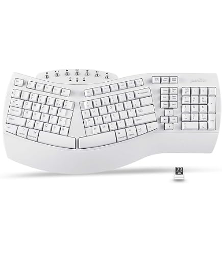 Amazon.com: Microsoft Natural Keyboard Elite : Electronics