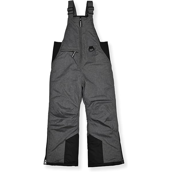Amazon.com : Burton Mens' Reserve 2L Waterproof Snow Bib Pants