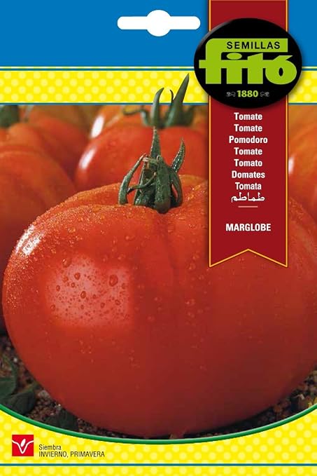 Semillas Fitó 292 - Semillas de Tomate Marglobe: Amazon.es: Jardín