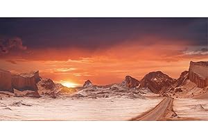 AWERT 72x18 inches Sun and Desert Terrarium Background Orange Reptile Habitat Background Durable Polyester Background