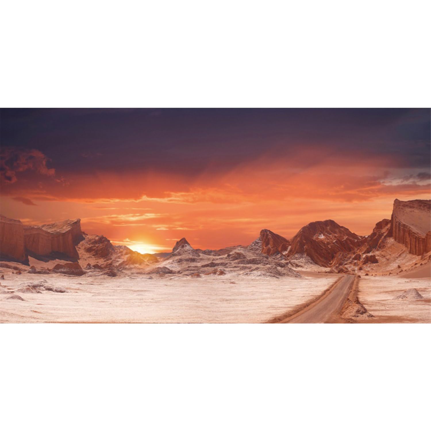 Photo 1 of AWERT 72x18 inches Sun and Desert Terrarium Background Orange Reptile Habitat Background Durable Polyester Background