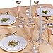 Silver Spoons Disposable Dinnerware Set|Vintage Collection, 10 Servings, Cream