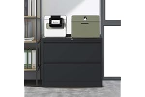 NicBex 2 Drawer Lateral File Cabinet with Lock Office Storage File Cabinet,Rolling Filing Cabinet for Home Office Letter/Legal/A4/F4,Black