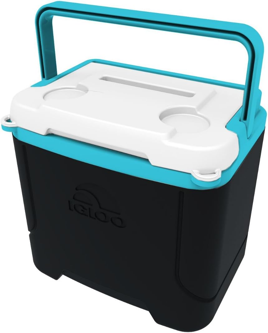 Best Igloo Retro Refrigerator