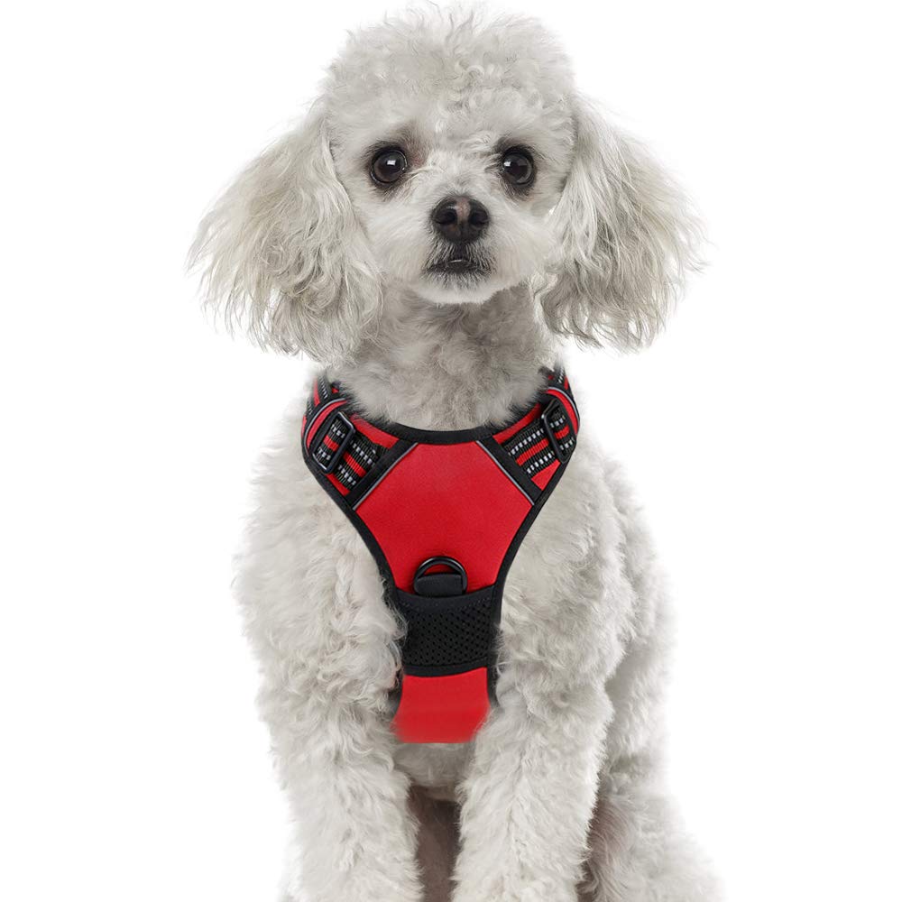 Rabbitgoo NoPull Dog Harness Vest Harness Adjustable Outdoor