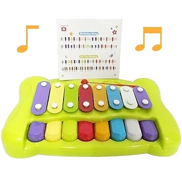 2 in 1 xylophone piano