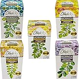 Premium Gift Set Olinda Moringa Oleifera Green Tea Superfood Variety Pack 5 Exotic Assorted Flavors Of Individually Wrapped Tea Bags (25 Per Flavor 125 Bags Total)