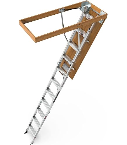 Amazon.com: FAKRO LWS-PL 66854 Insulated Attic Ladder for 25