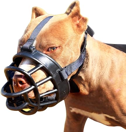 head muzzle for dogs