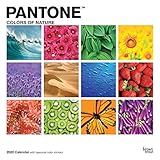 PantoneTM 2020 12 x 12 Inch Monthly Square Wall Calendar from BrownTroutTM w/ Color Chip Stickers, S by 