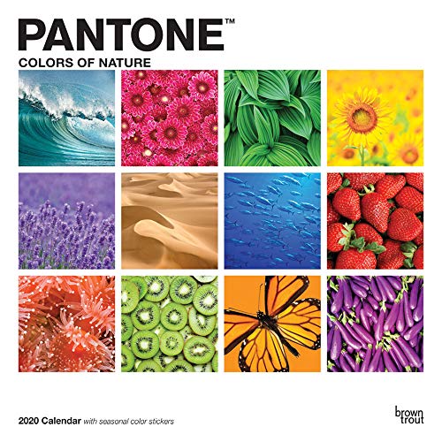 PantoneTM 2020 12 x 12 Inch Monthly Square Wall Calendar from BrownTroutTM w/ Color Chip Stickers, S by 