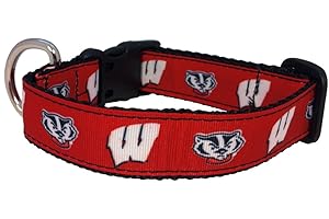 ALL STAR DOGS NCAA Wisconsin Badgers Collegiate Dog Collar (Small)