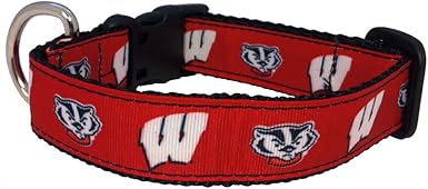 wisconsin badger dog apparel
