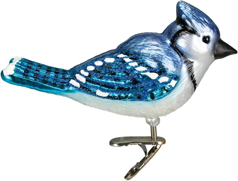 Ornaments - Old World Christmas Ornaments: Bird Watcher Collection Glass Blown Ornaments for Christmas Tree,Bright Blue Jay