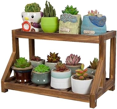 Amazon Co Jp 純木のデスクトップの小さい花の立場の2層の多肉植物の棚の居間のバルコニーのオフィス植物の鉢植えな棚の出窓の炭化色 スポーツ アウトドア