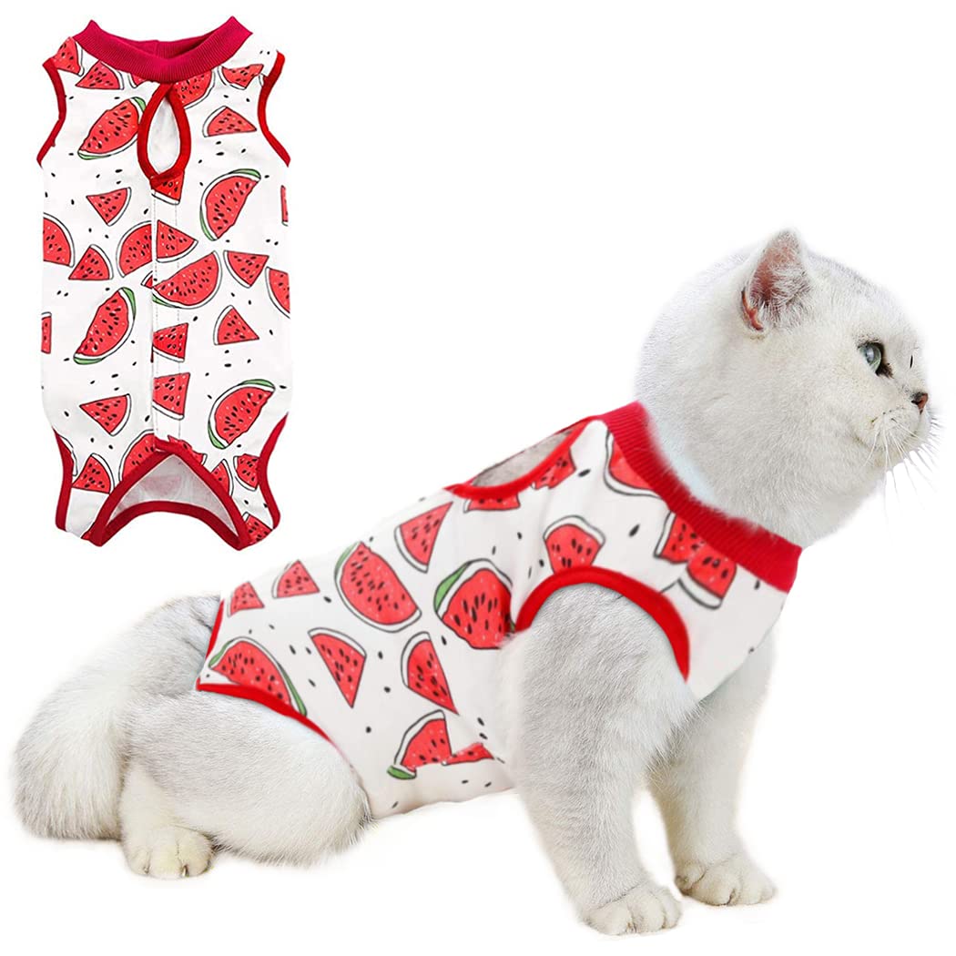 Cat Professional Surgery Recovery E-Collar Alternative, Cotton Breathable Sterilization Suit for Abdominal Wounds, Pajama for Kitten Anti-Biting Licking - Watermelon/XL(11-14 lbs)