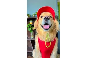 Dog-O-Bow Red Baseball Cap (Large)