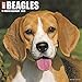 Just Beagles 2019 Wall Calendar (Dog Breed Calendar)