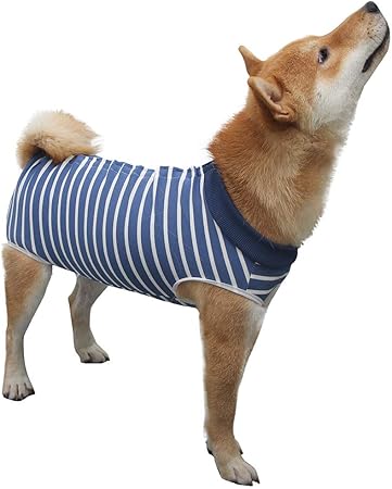 medical pet shirt dog
