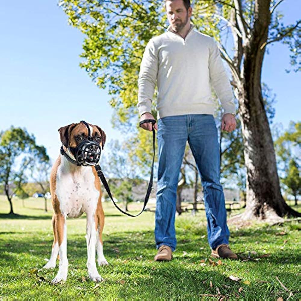 Baskerville Muzzles Ultra Muzzle, Dog Muzzle Prevent Biting Chewing