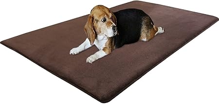 foam mats for dogs