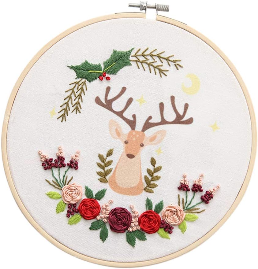 Embroidery Starter Kit with Pattern, Embroidery Cross Stitch Kit Including Embroidery Cloth with Floral Pattern, Bamboo Embroidery Hoop, Color Threads and Tools Kit